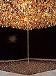 Miss�o/Miss�es (How to Build Cathedrals) by Cildo Meireles