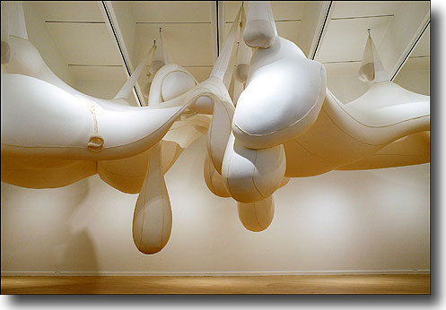 The Dangerous Logic of Wooing by Ernesto       Neto