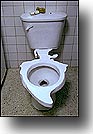America Latrine by Dam&iacute;an       Ortega