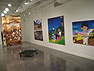 View of the exhibition Ecuador: Life in its pure state by        El Museos Bienal: The (S) Files 2007